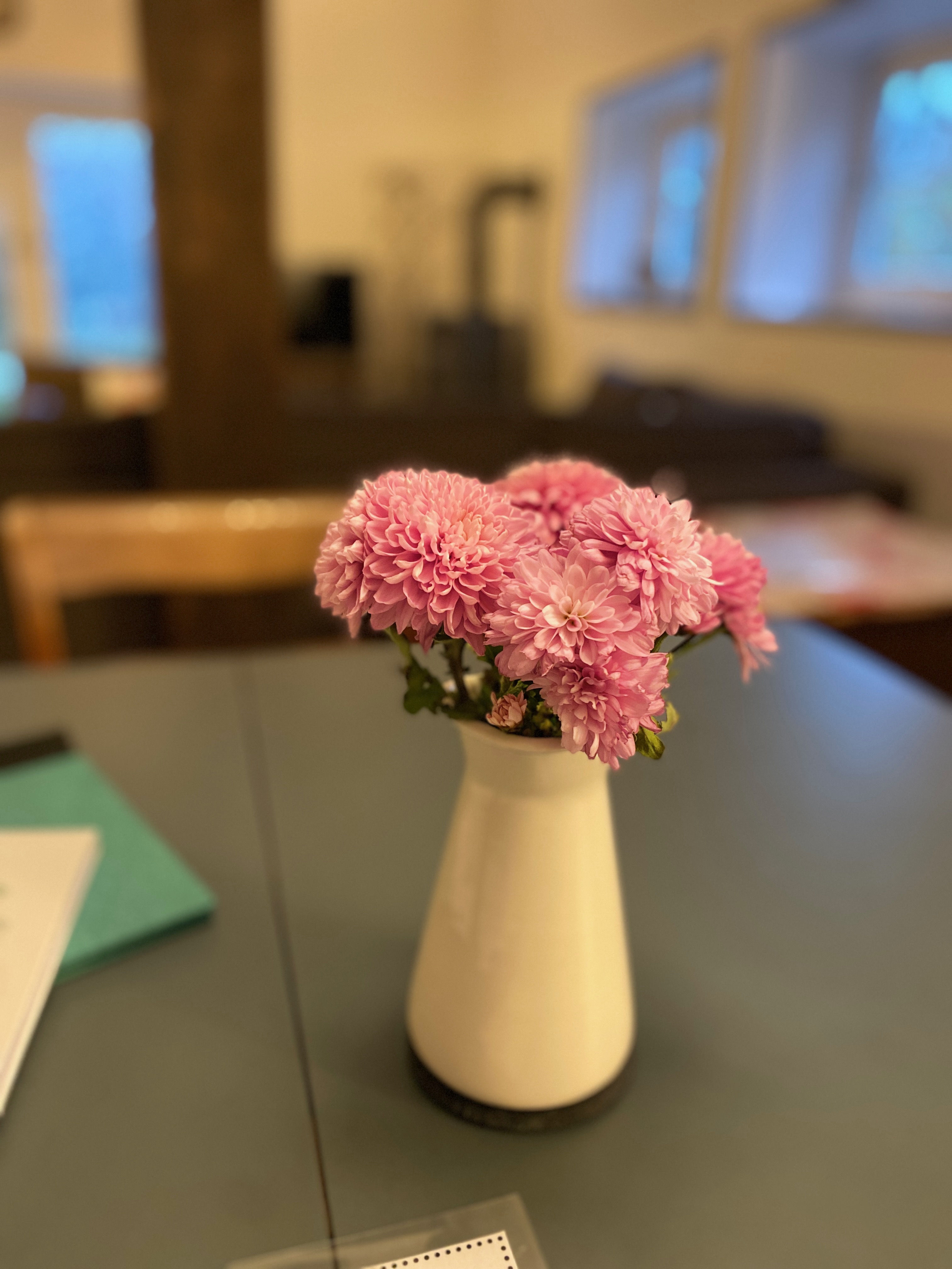 Rosa Blumen
