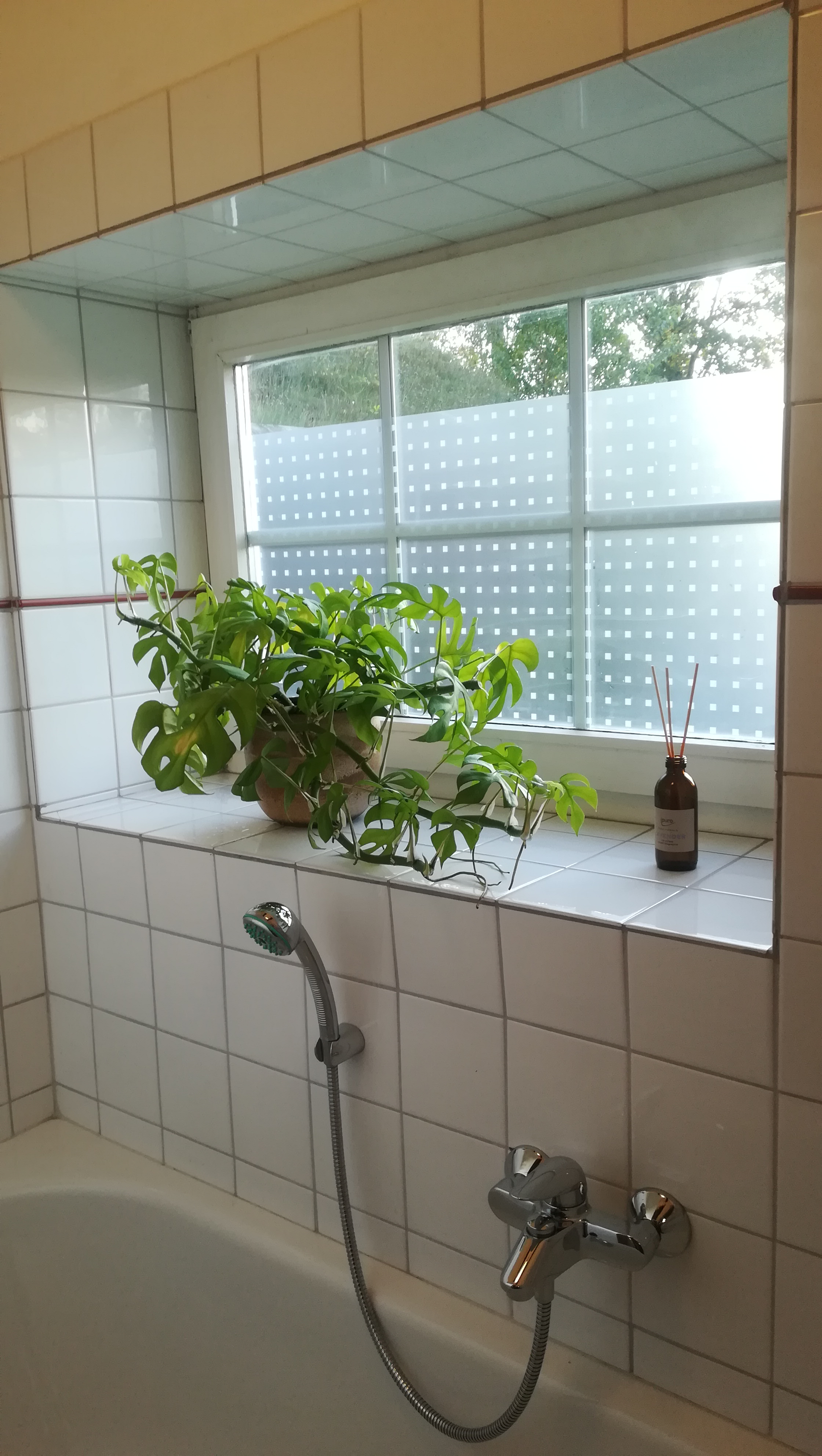 Bad mit Pflanze